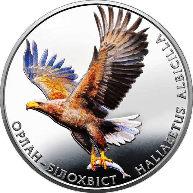 Орлан-білохвіст