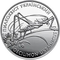 Пилкохвіст український
