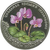 Цикламен коський (Кузнецова)