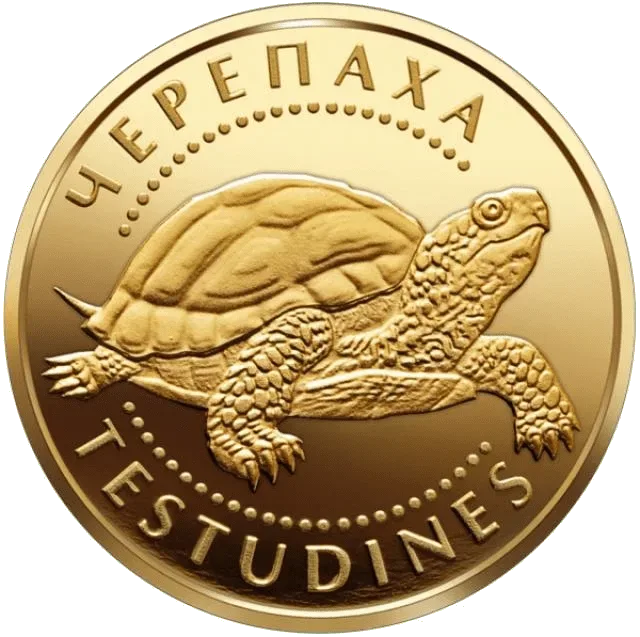 Черепаха