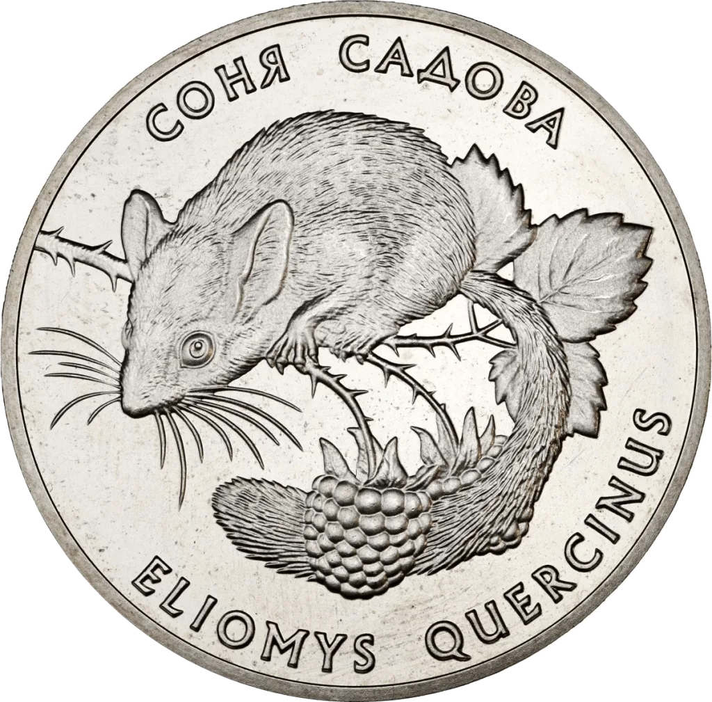 Соня садова — реверс
