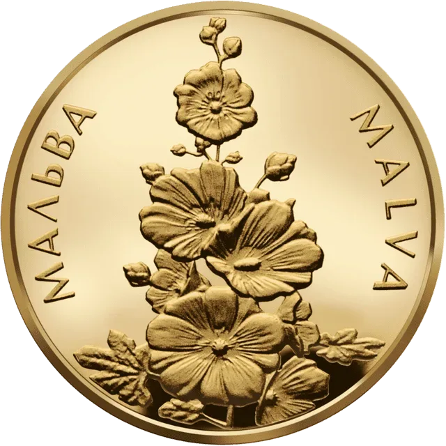 Мальва
