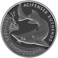 Стерлядь прісноводна — аверс