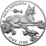 Рись звичайна