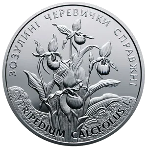 Зозулині черевички справжні — аверс