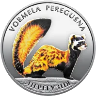 Перегузня — аверс