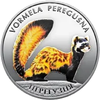 Перегузня