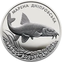 Марена дніпровська — аверс
