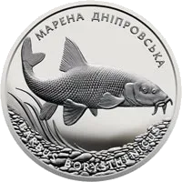 Марена дніпровська