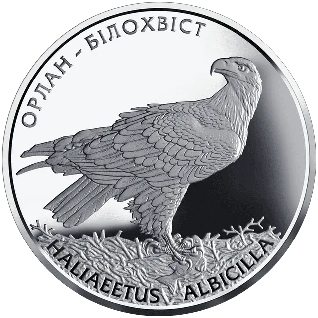 Орлан-білохвіст