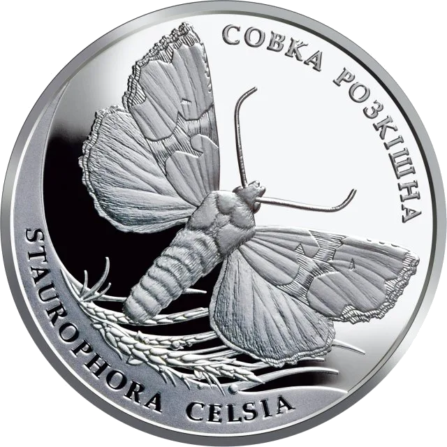 Совка розкішна — аверс
