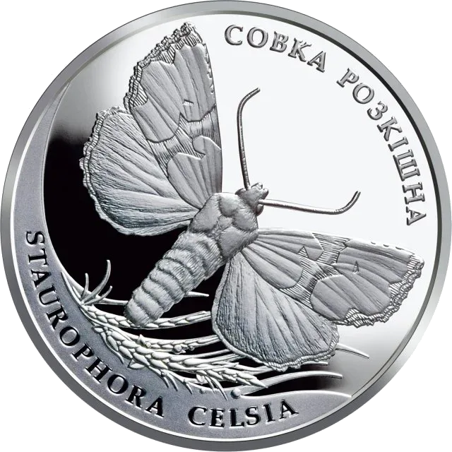 Совка розкішна