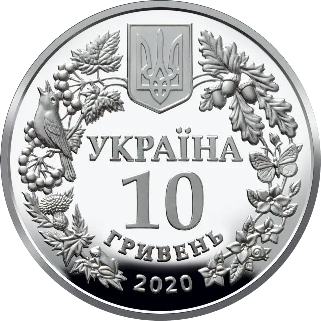 Совка розкішна