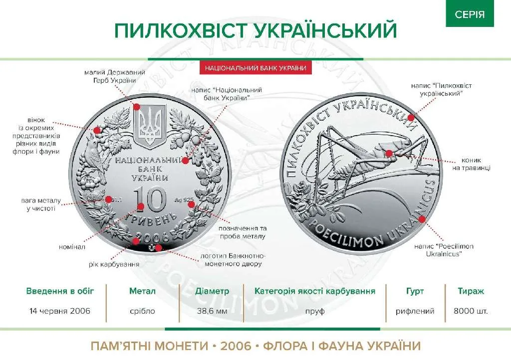 Пилкохвіст український — інфо