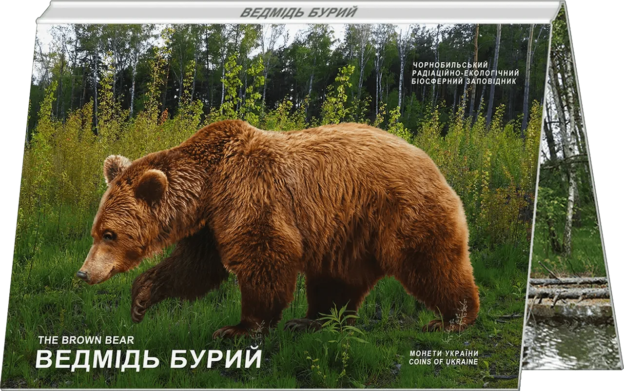 Чорнобиль. Відродження. Ведмідь бурий — інфо 2
