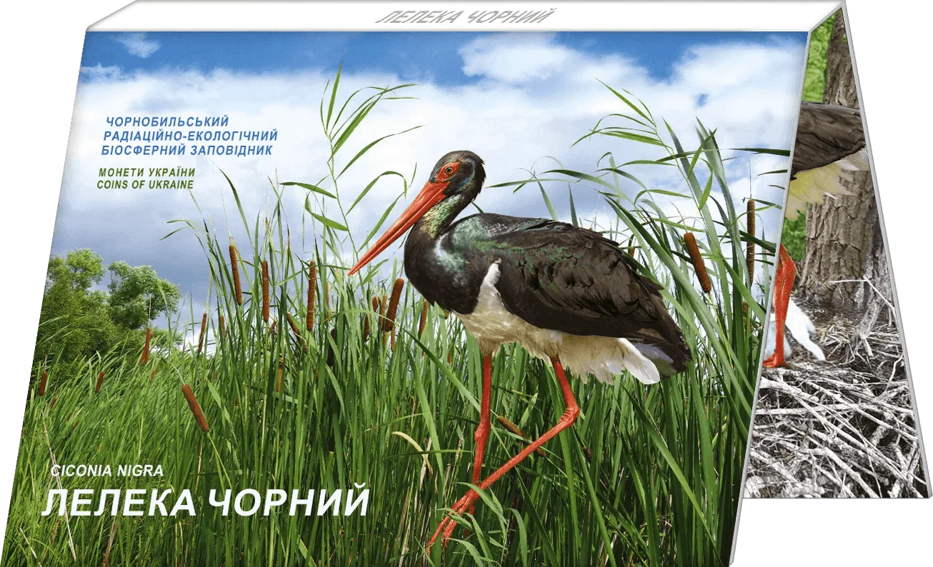 Чорнобиль. Відродження.Лелека чорний — інфо 3