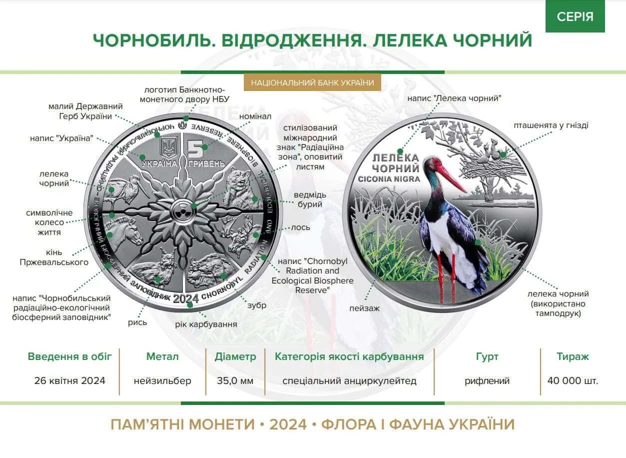 Чорнобиль. Відродження.Лелека чорний — інфо 1