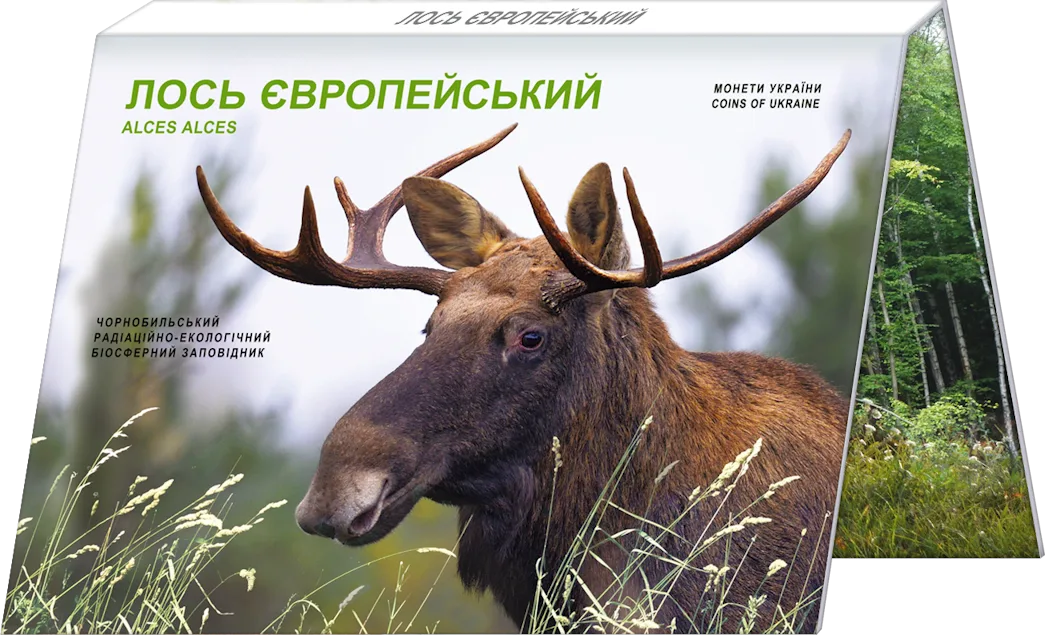 Чорнобиль. Відродження. Лось європейський — інфо 3