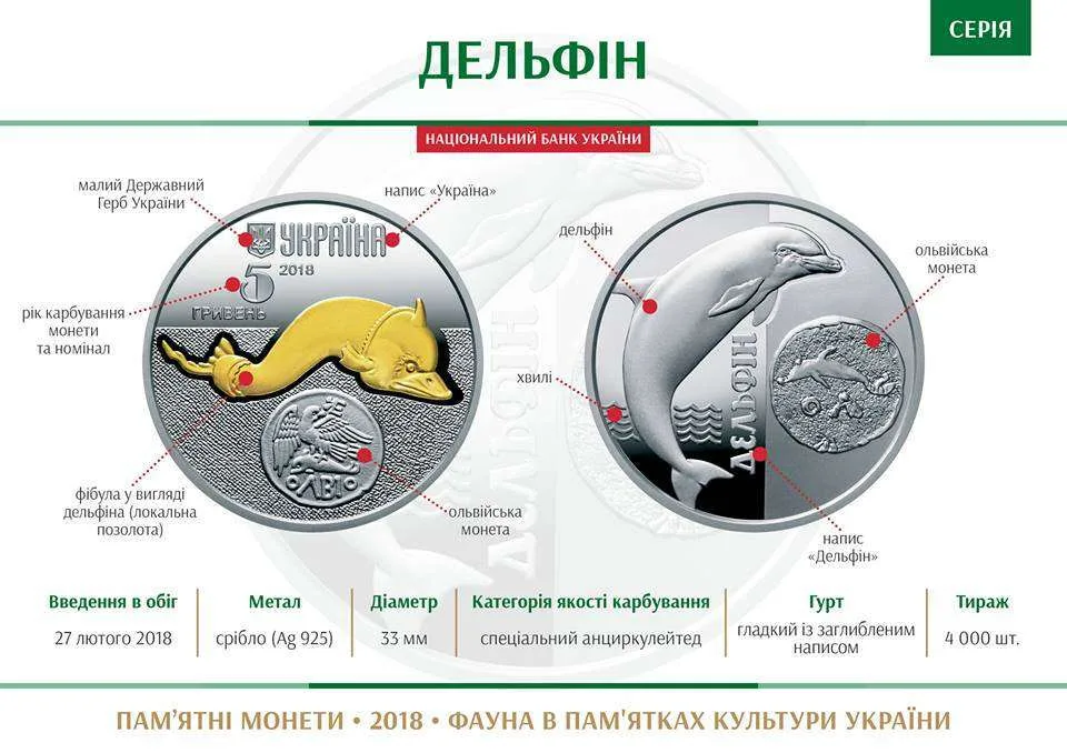 Дельфін — інфо