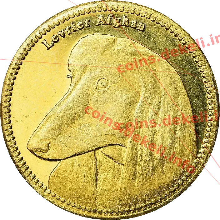 Afghan hound