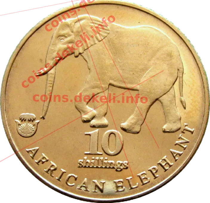 African elephant