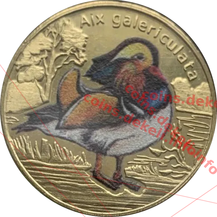 Aix galericulata