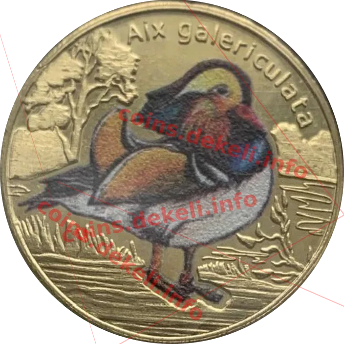 Aix galericulata