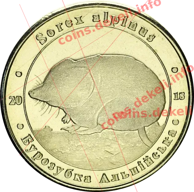 Бурозубка альпійська
