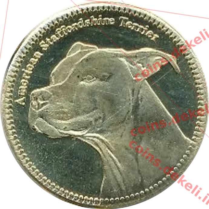 American Staffordshire Terrier