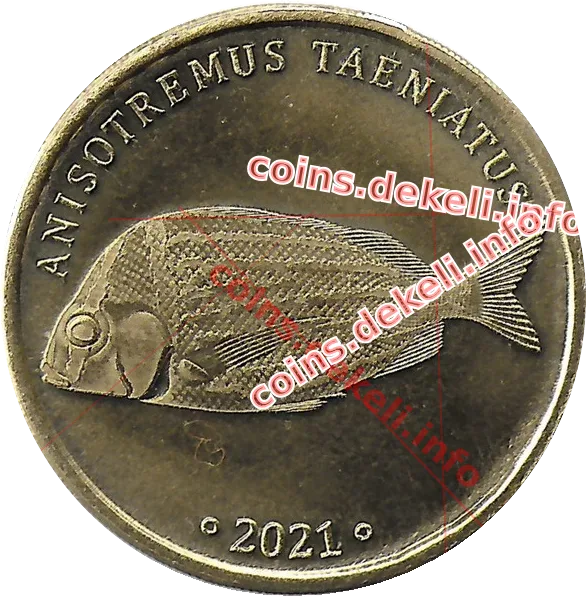 Anisotremus taeniatus