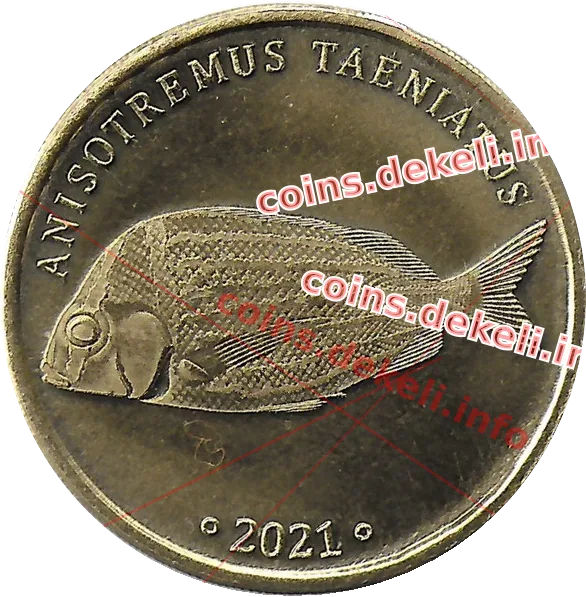 Anisotremus taeniatus