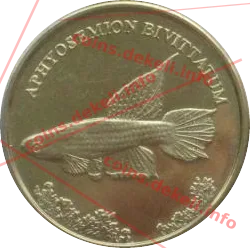 Aphyosemion bivittatum