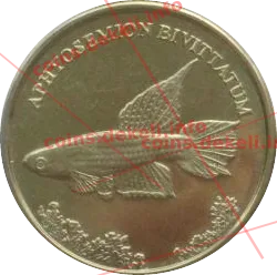 Aphyosemion bivittatum