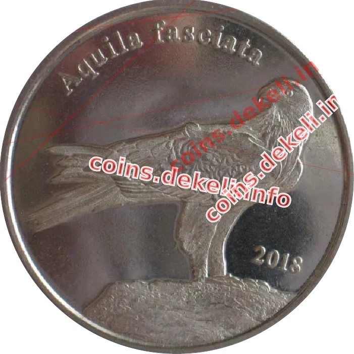Aquila fasciata