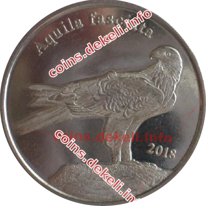 Aquila fasciata