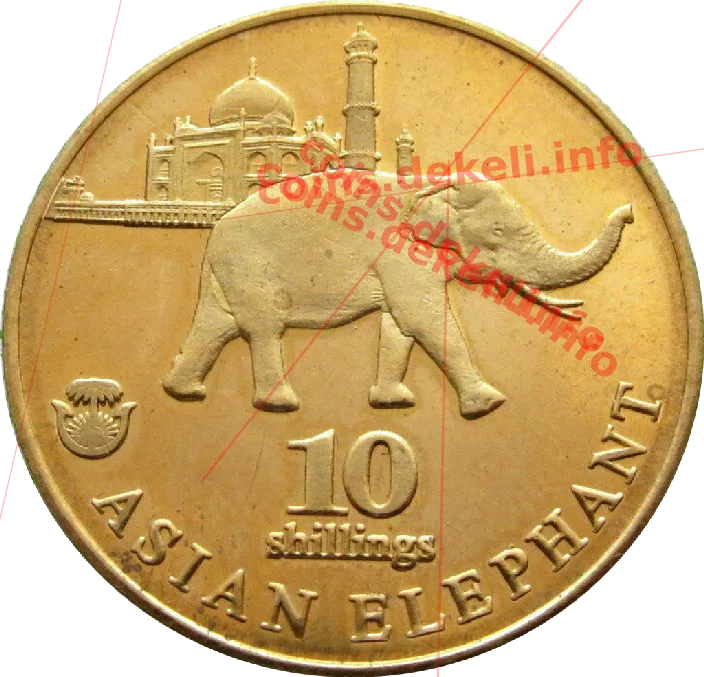 Asian elephant