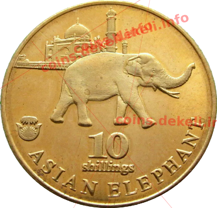 Asian elephant