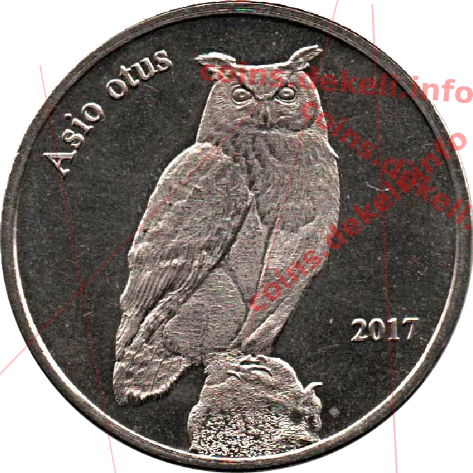 Asio otus