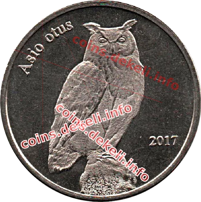 Asio otus