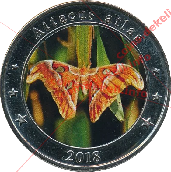 Attacus atlas — аверс