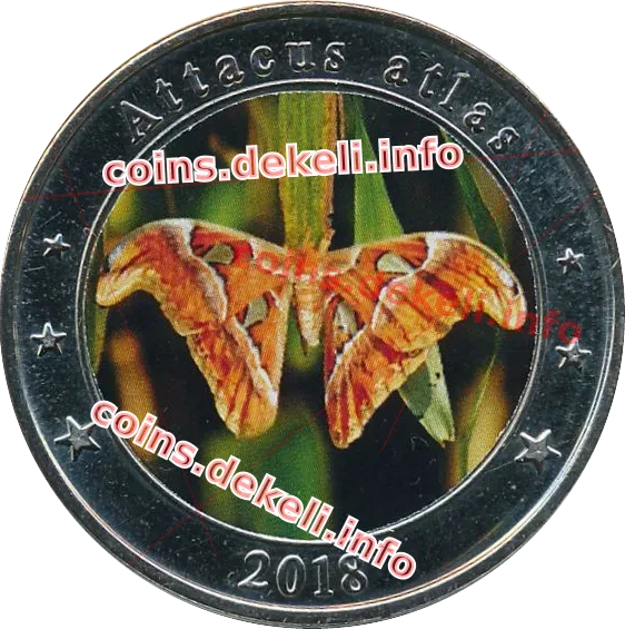 Attacus atlas
