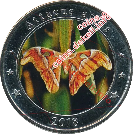 Attacus atlas