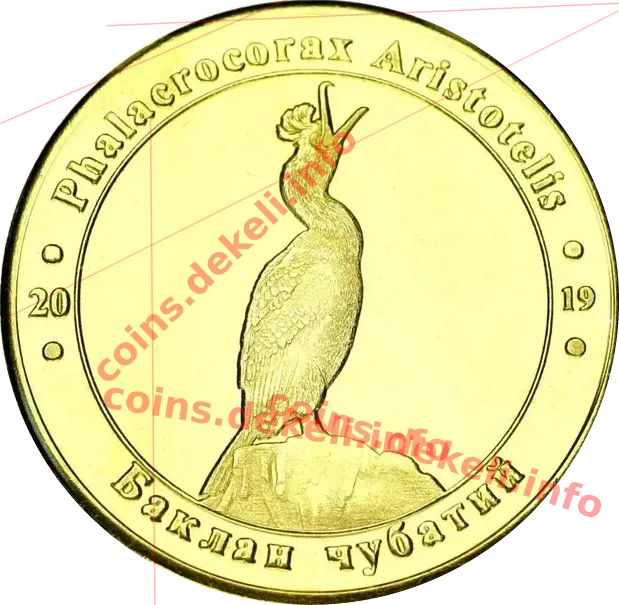 Баклан чубатий — аверс