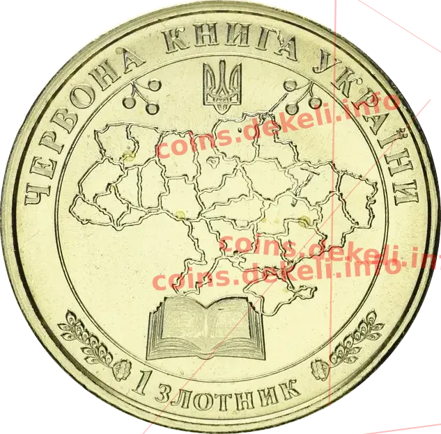 Баклан чубатий — реверс