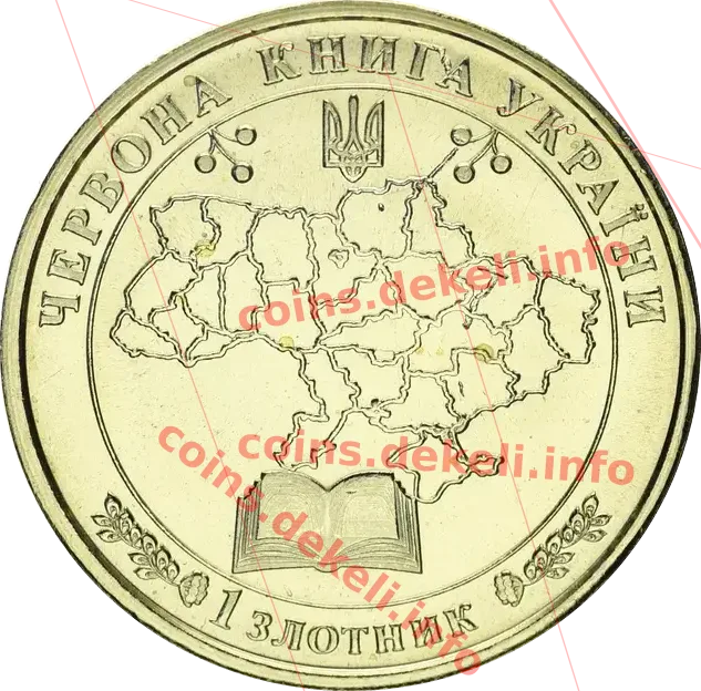 Ведмідь бурий