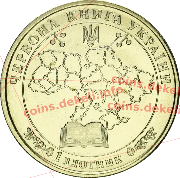 Ведмідь бурий