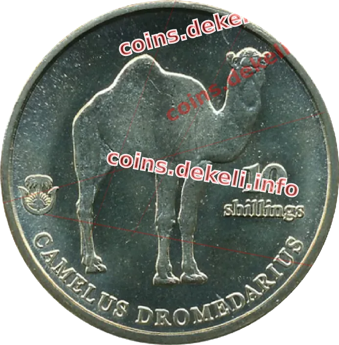 Camelus dromedarius