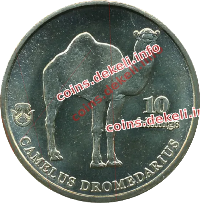 Camelus dromedarius