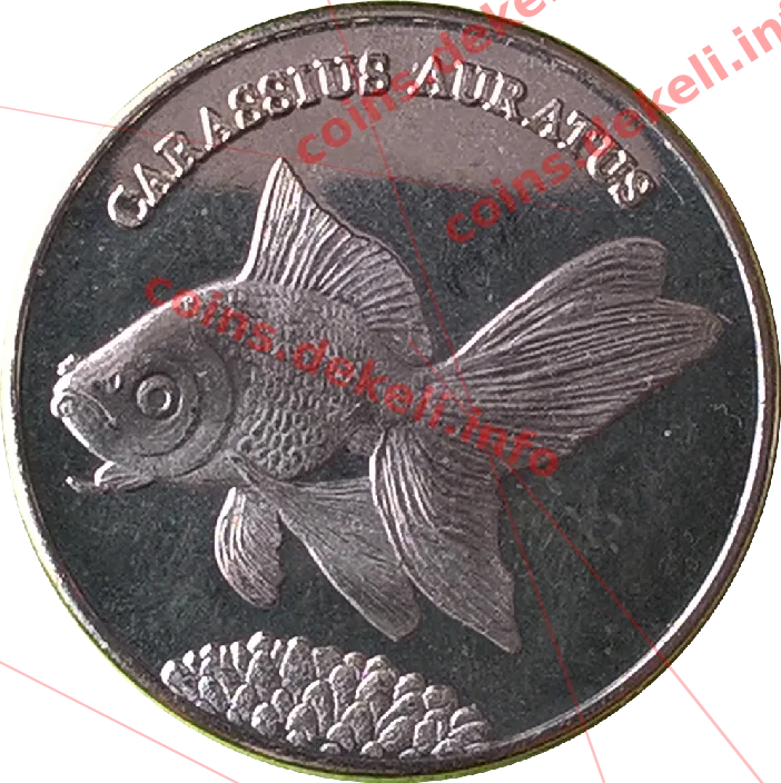 Carassius auratus