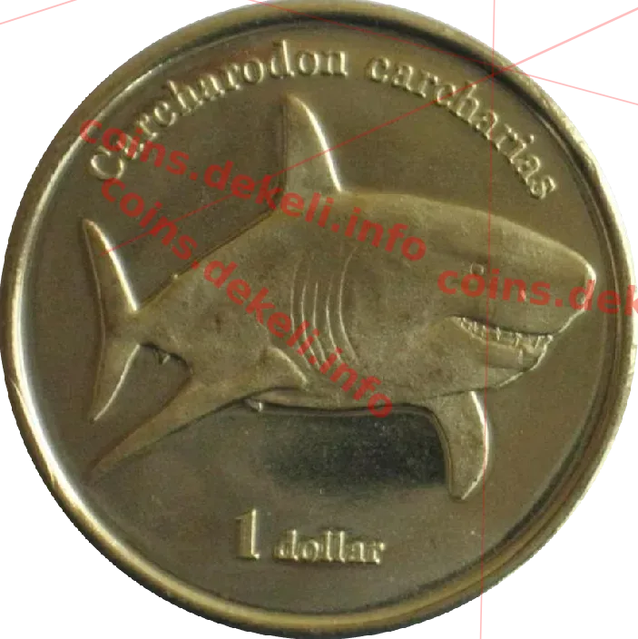 Carcharodon carcharias